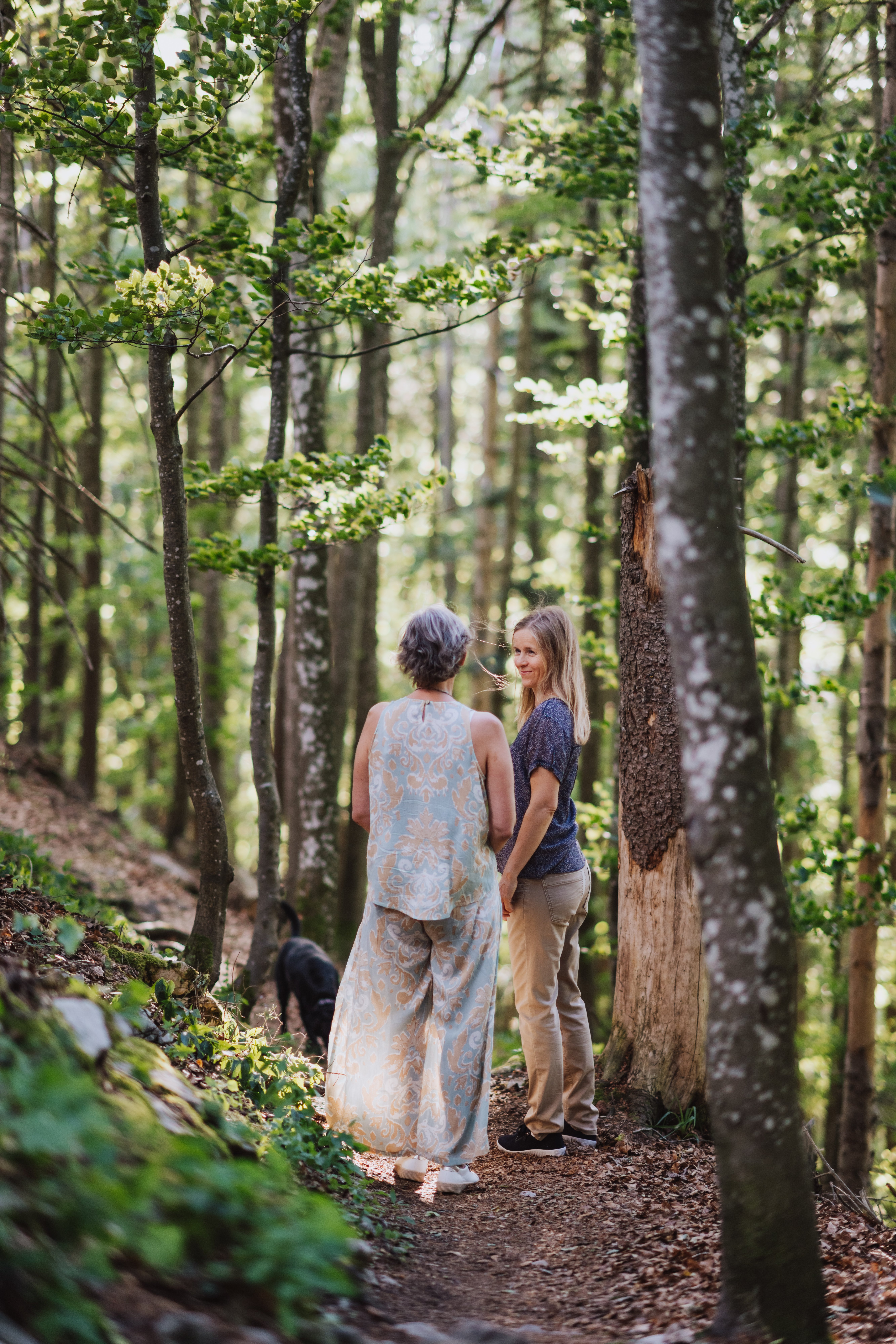 Spaziergang im Wald